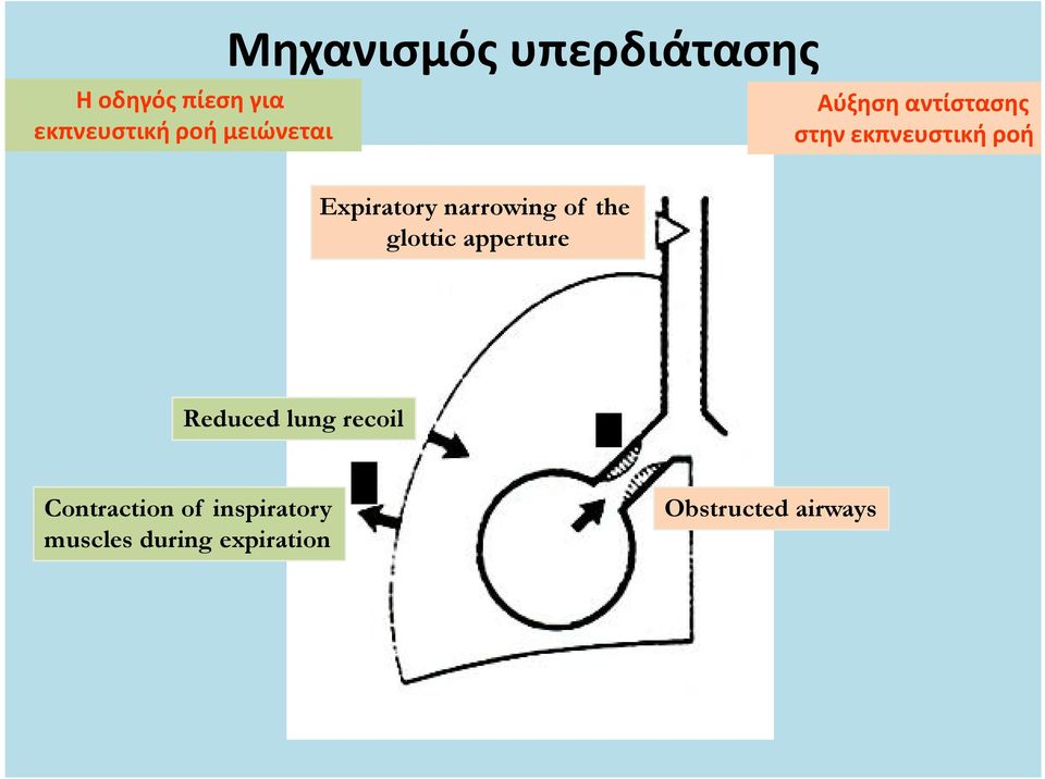 Expiratory narrowing of the glottic apperture Reduced lung