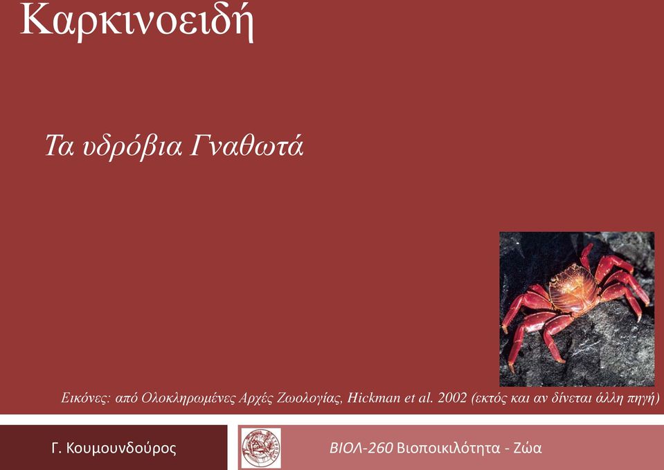 al. 2002 (εκτός και αν δίνεται άλλη πηγή) Γ.