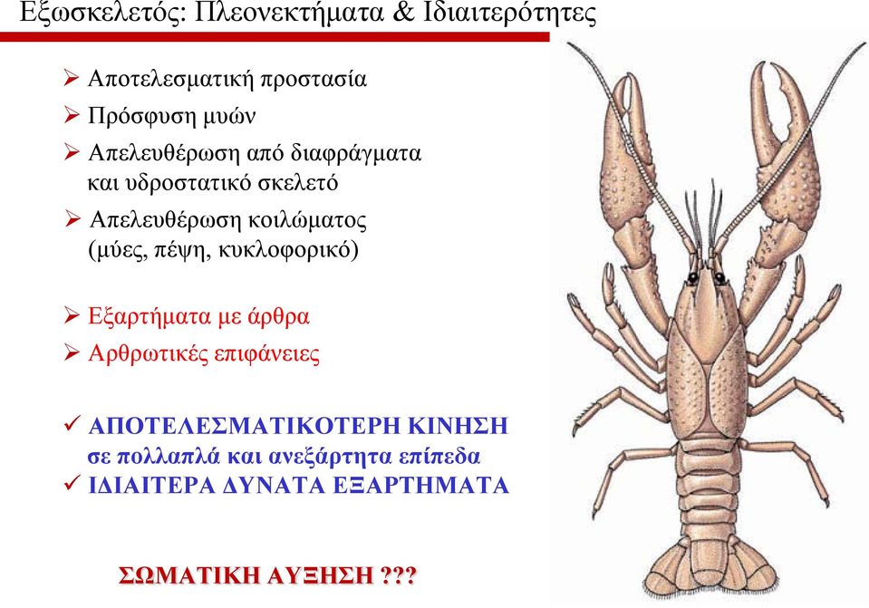 πέψη, κυκλοφορικό) Εξαρτήματα με άρθρα Αρθρωτικές επιφάνειες ΑΠΟΤΕΛΕΣΜΑΤΙΚΟΤΕΡΗ