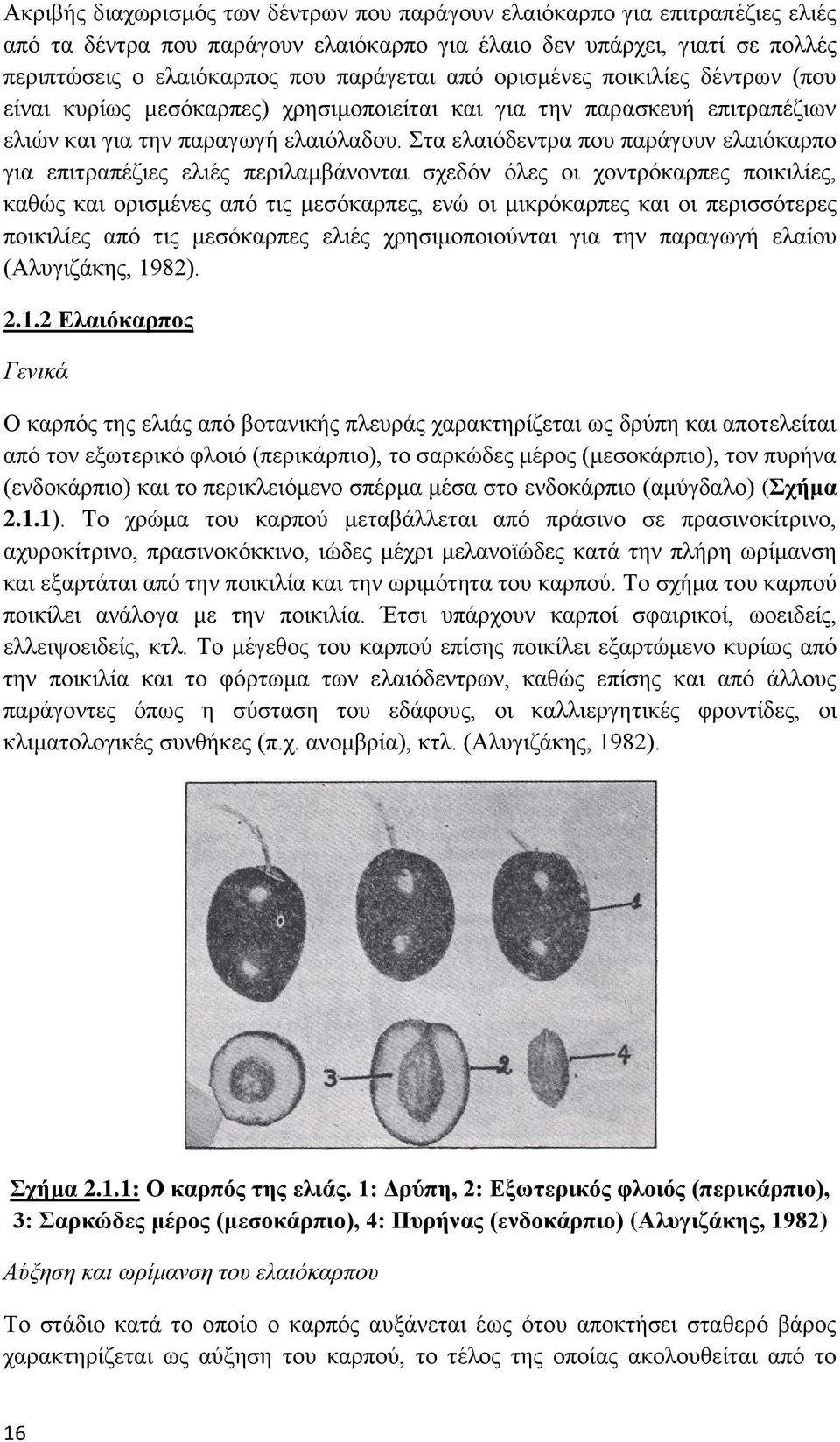 Στα ελαιόδεντρα που παράγουν ελαιόκαρπο για επιτραπέζιες ελιές περιλαμβάνονται σχεδόν όλες οι χοντρόκαρπες ποικιλίες, καθώς και ορισμένες από τις μεσόκαρπες, ενώ οι μικρόκαρπες και οι περισσότερες