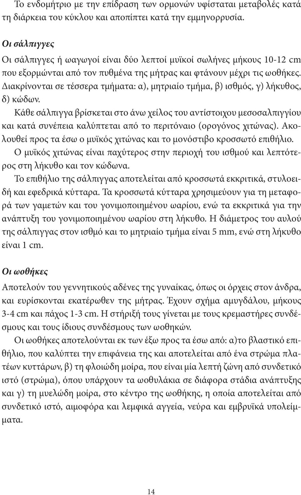 Διακρίνονται σε τέσσερα τμήματα: α), μητριαίο τμήμα, β) ισθμός, γ) λήκυθος, δ) κώδων.