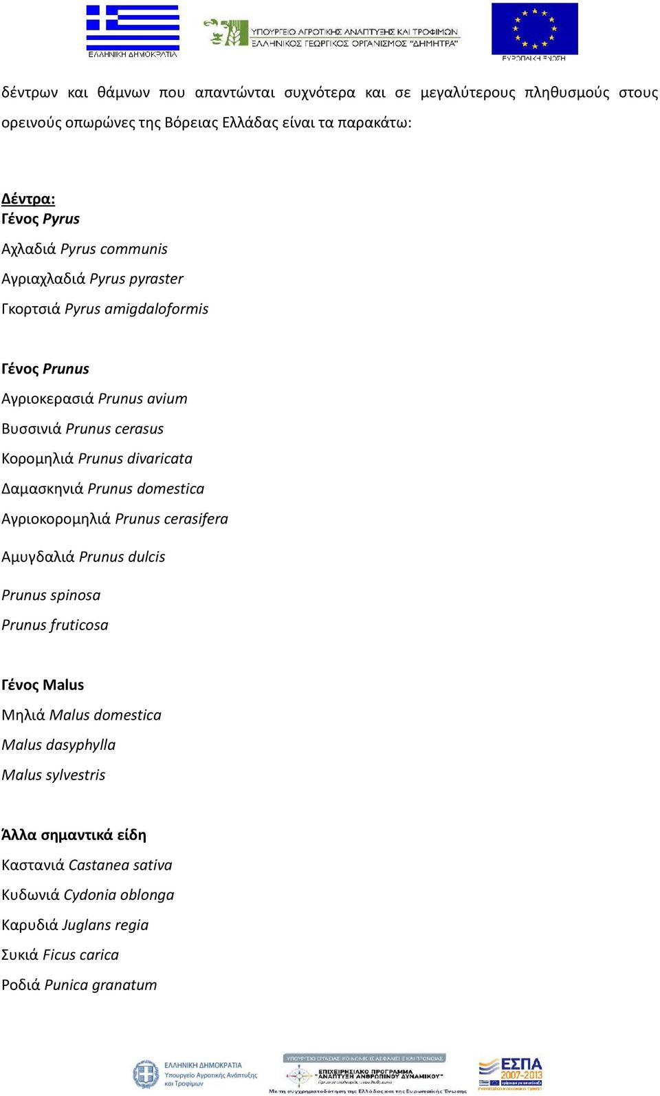 divaricata Δαμασκηνιά Prunus domestica Αγριοκορομηλιά Prunus cerasifera Αμυγδαλιά Prunus dulcis Prunus spinosa Prunus fruticosa Γένος Malus Μηλιά Malus domestica