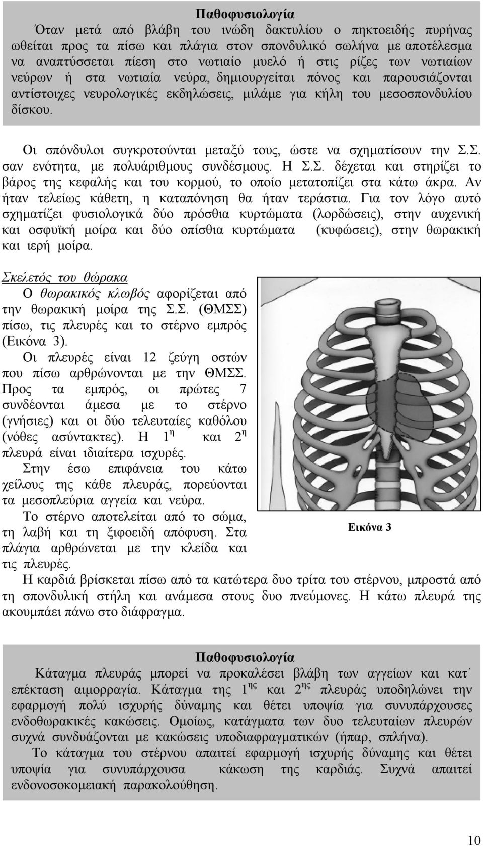 Οι σπόνδυλοι συγκροτούνται µεταξύ τους, ώστε να σχηµατίσουν την Σ.Σ. σαν ενότητα, µε πολυάριθµους συνδέσµους. Η Σ.Σ. δέχεται και στηρίζει το βάρος της κεφαλής και του κορµού, το οποίο µετατοπίζει στα κάτω άκρα.