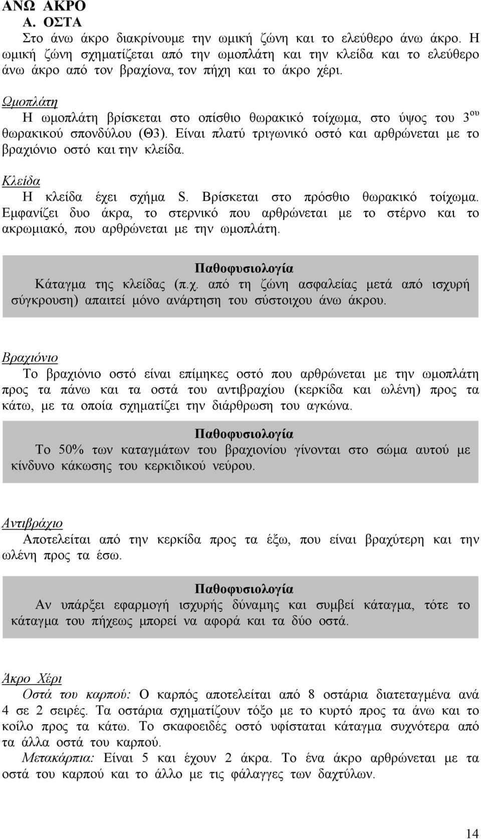 Ωµοπλάτη Η ωµοπλάτη βρίσκεται στο οπίσθιο θωρακικό τοίχωµα, στο ύψος του 3 ου θωρακικού σπονδύλου (Θ3). Είναι πλατύ τριγωνικό οστό και αρθρώνεται µε το βραχιόνιο οστό και την κλείδα.