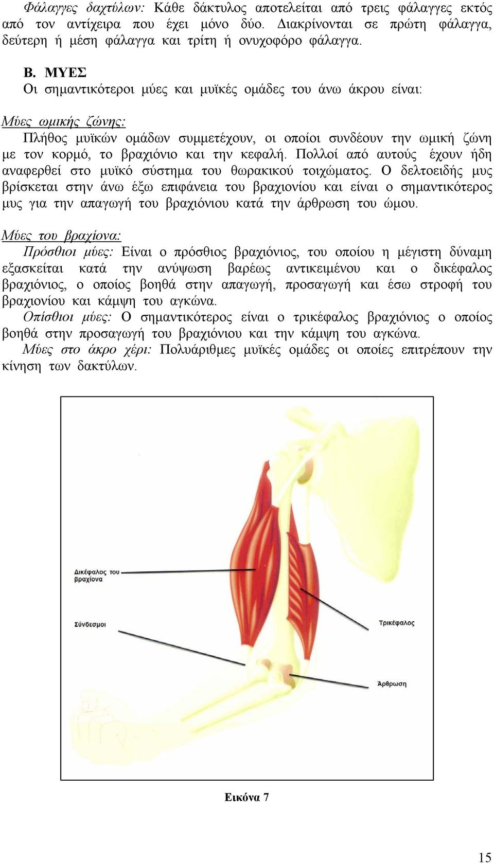 Πολλοί από αυτούς έχουν ήδη αναφερθεί στο µυϊκό σύστηµα του θωρακικού τοιχώµατος.