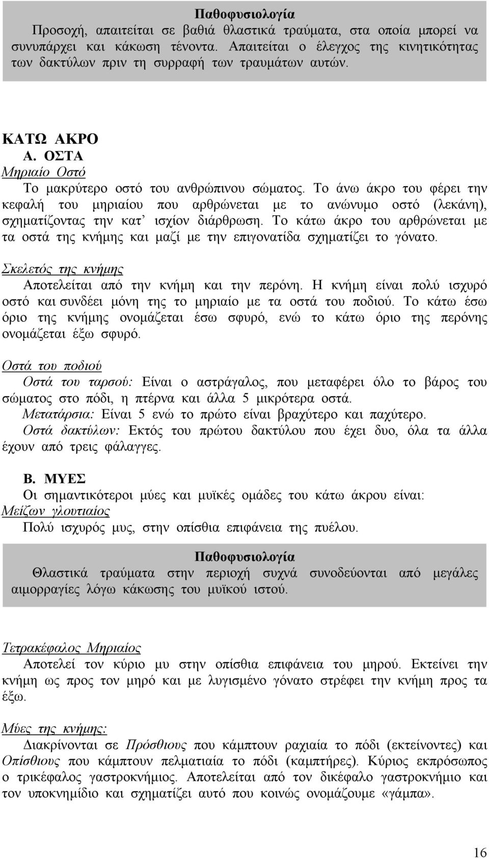 Το άνω άκρο του φέρει την κεφαλή του µηριαίου που αρθρώνεται µε το ανώνυµο οστό (λεκάνη), σχηµατίζοντας την κατ ισχίον διάρθρωση.