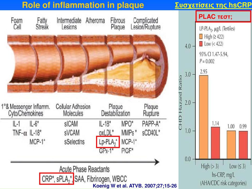inflammation in plaque