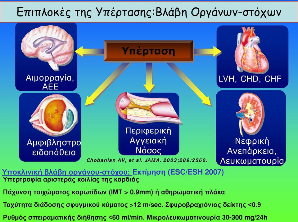 Υποκλινική βλάβη οργάνου-στόχου: Εκτίμηση (ESC/ESH 2007) Υπερτροφία αριστεράς κοιλίας της καρδιάς Πάχυνση τοιχώματος καρωτίδων