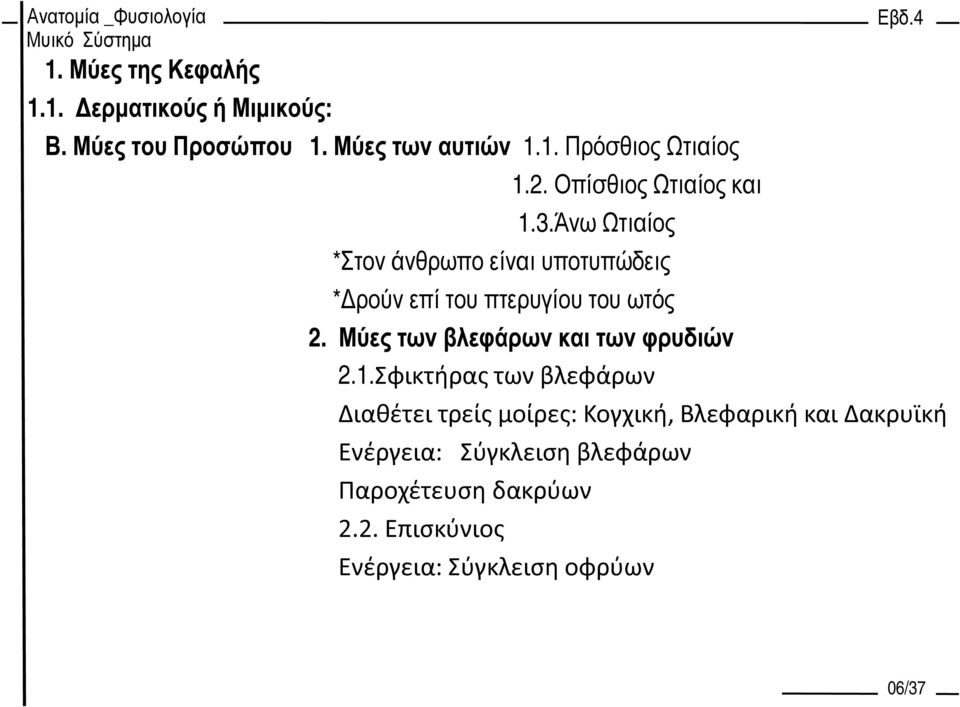 Μύες των βλεφάρων και των φρυδιών 2.1.