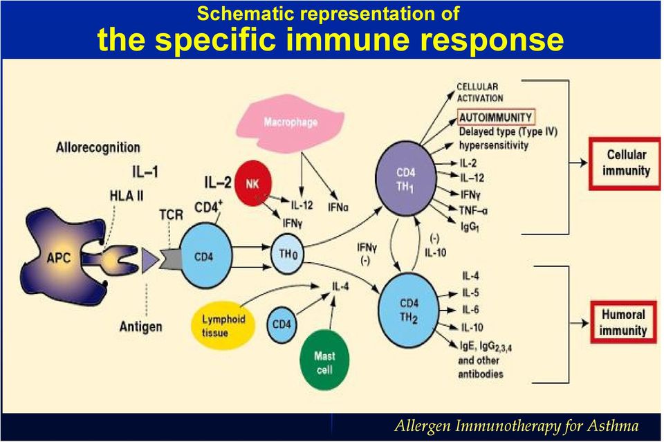 specific immune