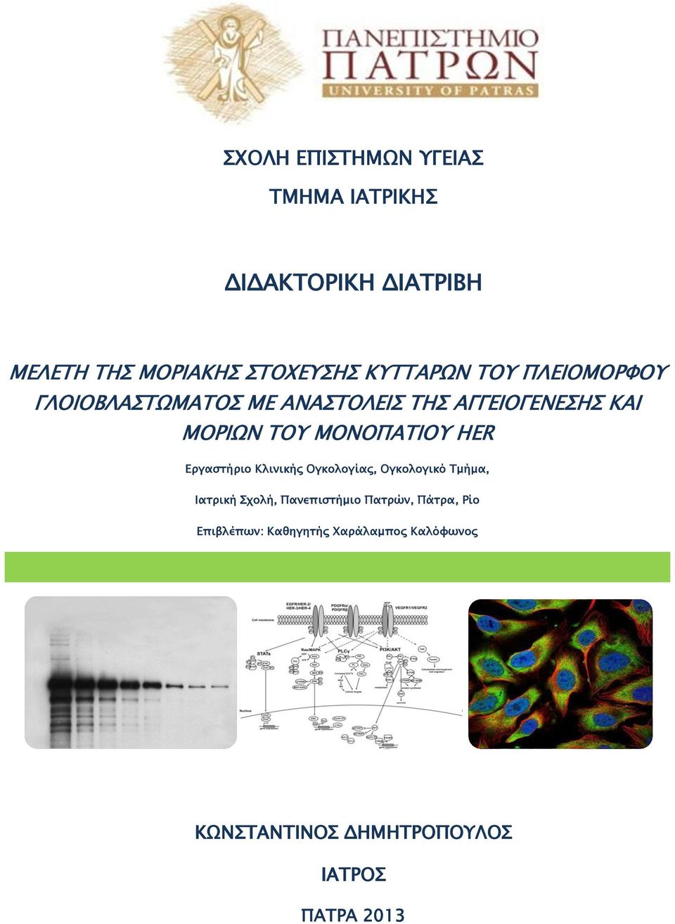 ΜΟΝΟΠΑΤΙΟΥ HER Εργαστήριο Κλινικής Ογκολογίας, Ογκολογικό Τμήμα, Ιατρική Σχολή, Πανεπιστήμιο