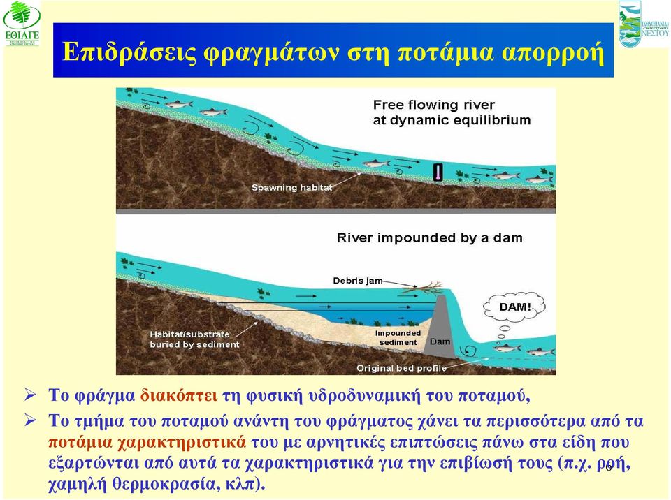 ποτάμια χαρακτηριστικά του με αρνητικές επιπτώσεις πάνω στα είδη που εξαρτώνται από