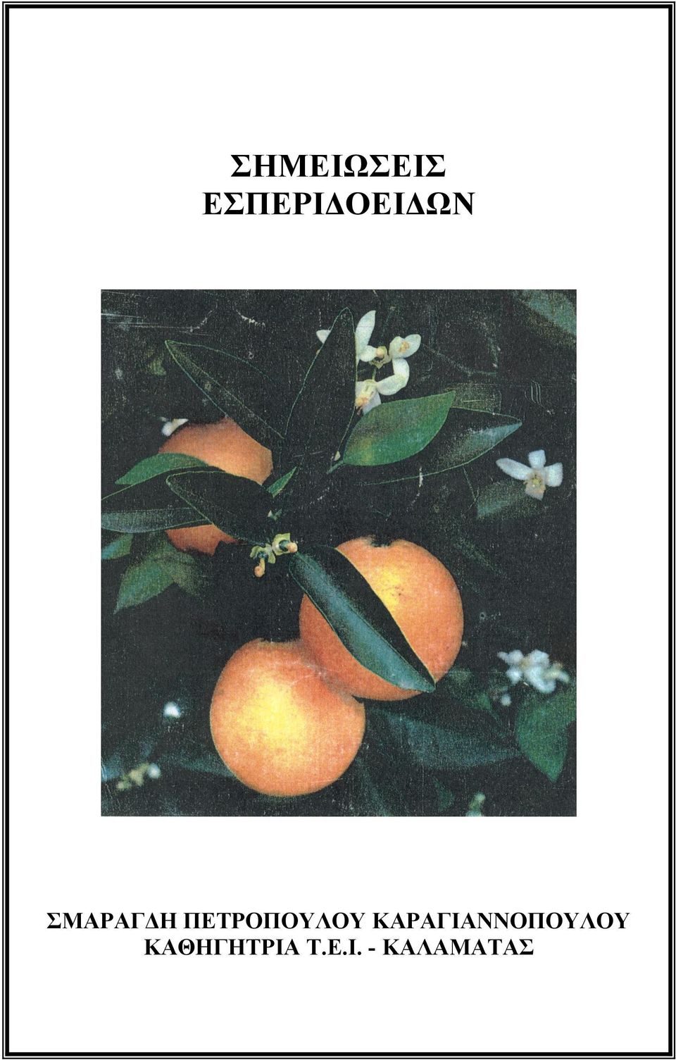 ΠΕΤΡΟΠΟΥΛΟΥ