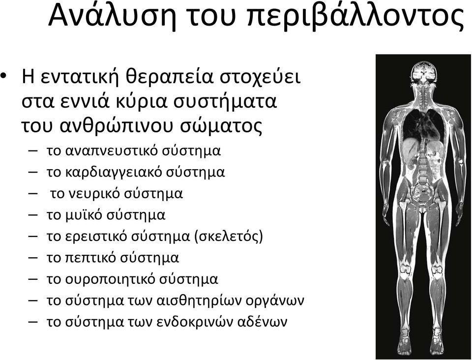 σύστημα το μυϊκό σύστημα το ερειστικό σύστημα (σκελετός) το πεπτικό σύστημα το