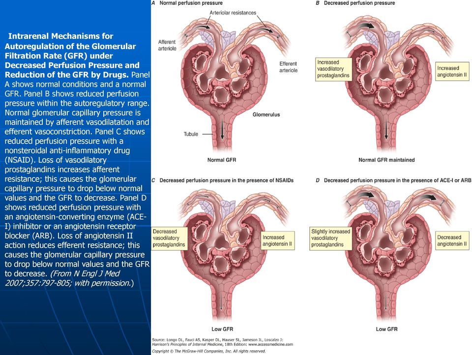 Panel C shows reduced perfusion pressure with a nonsteroidal anti-inflammatory drug (NSAID).