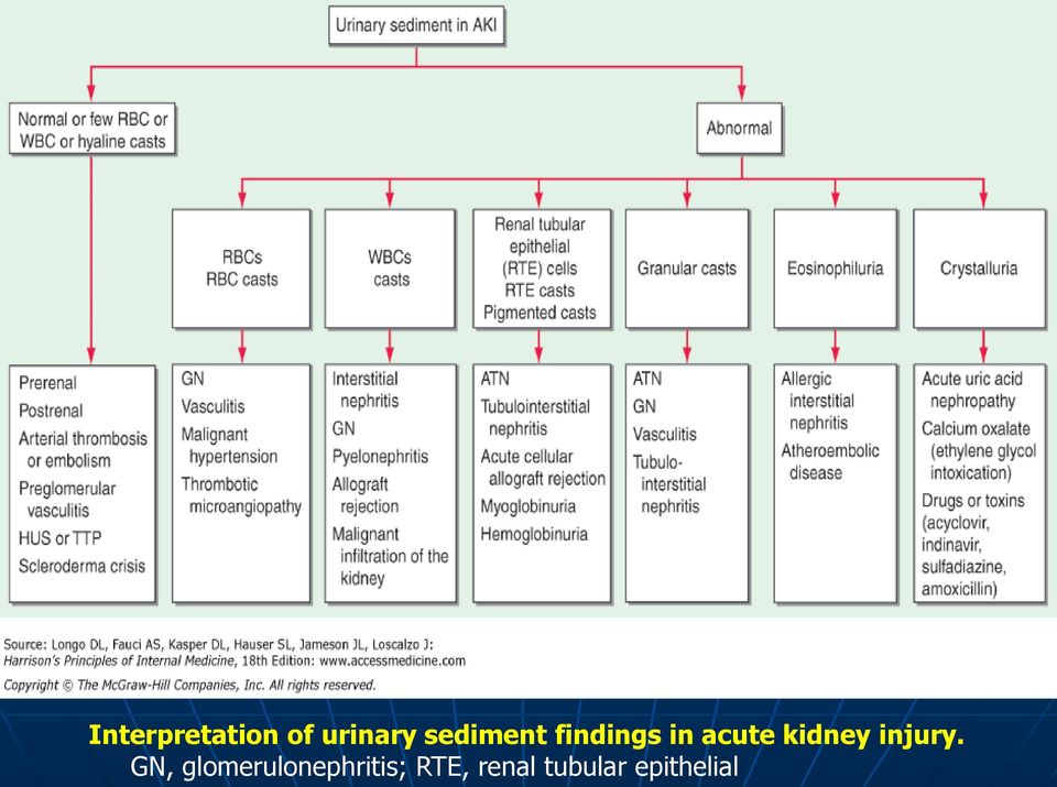 kidney injury.