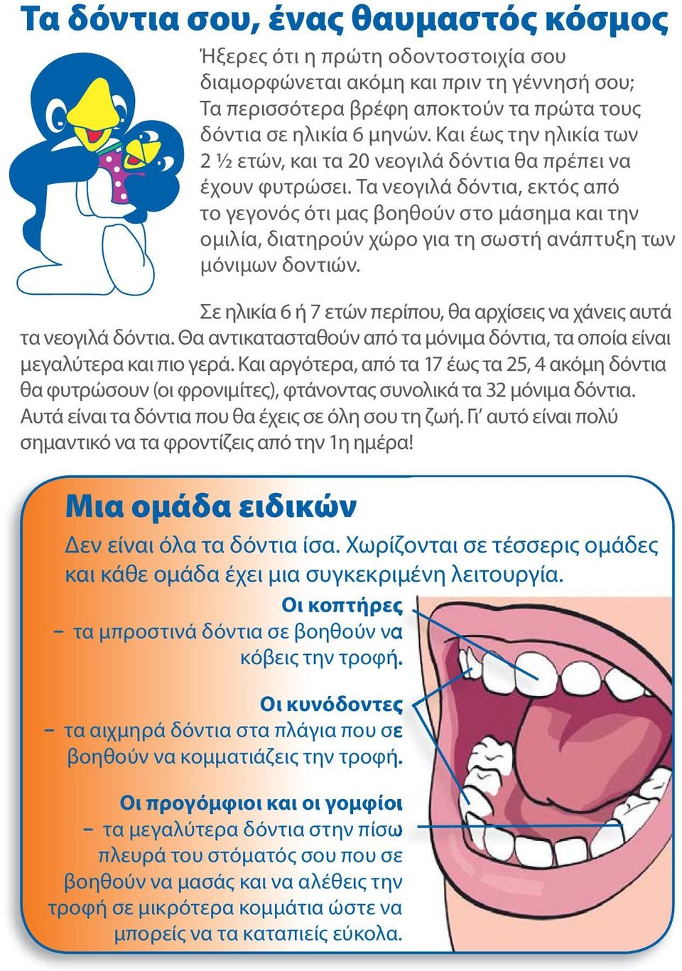 Τα νεογιλά δόντια, εκτός από το γεγονός ότι μας βοηθούν στο μάσημα και την ομιλία, διατηρούν χώρο για τη σωστή ανάπτυξη των μόνιμων δοντιών.