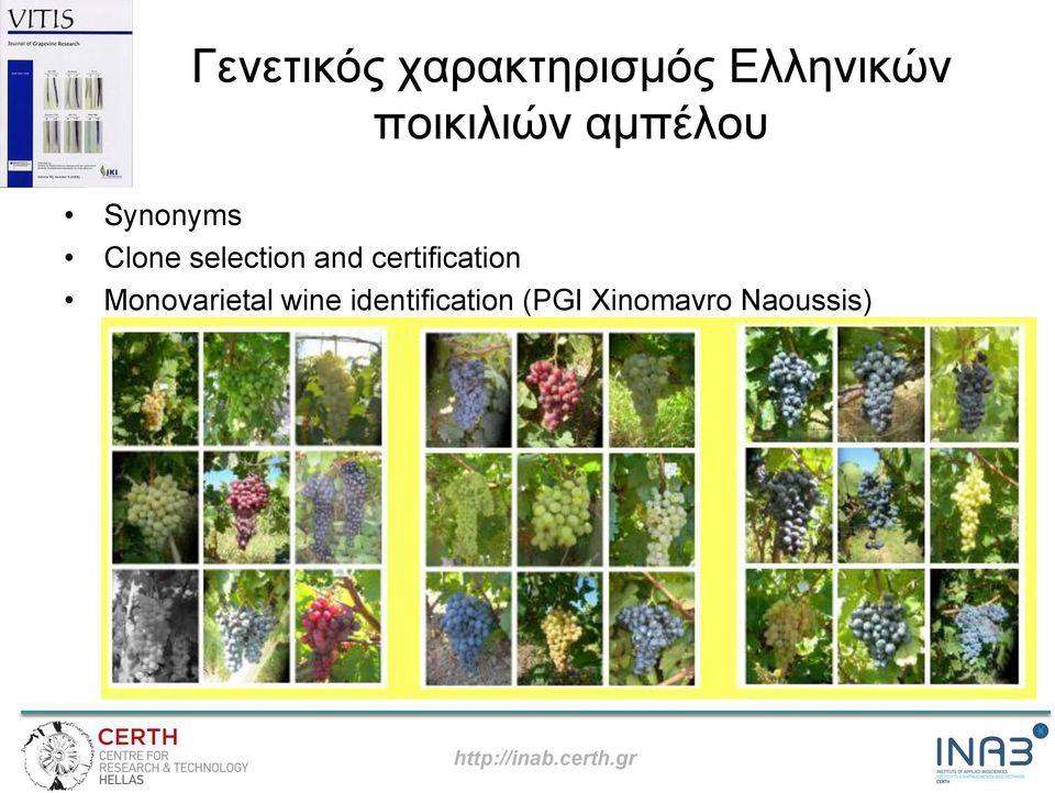 selection and certification