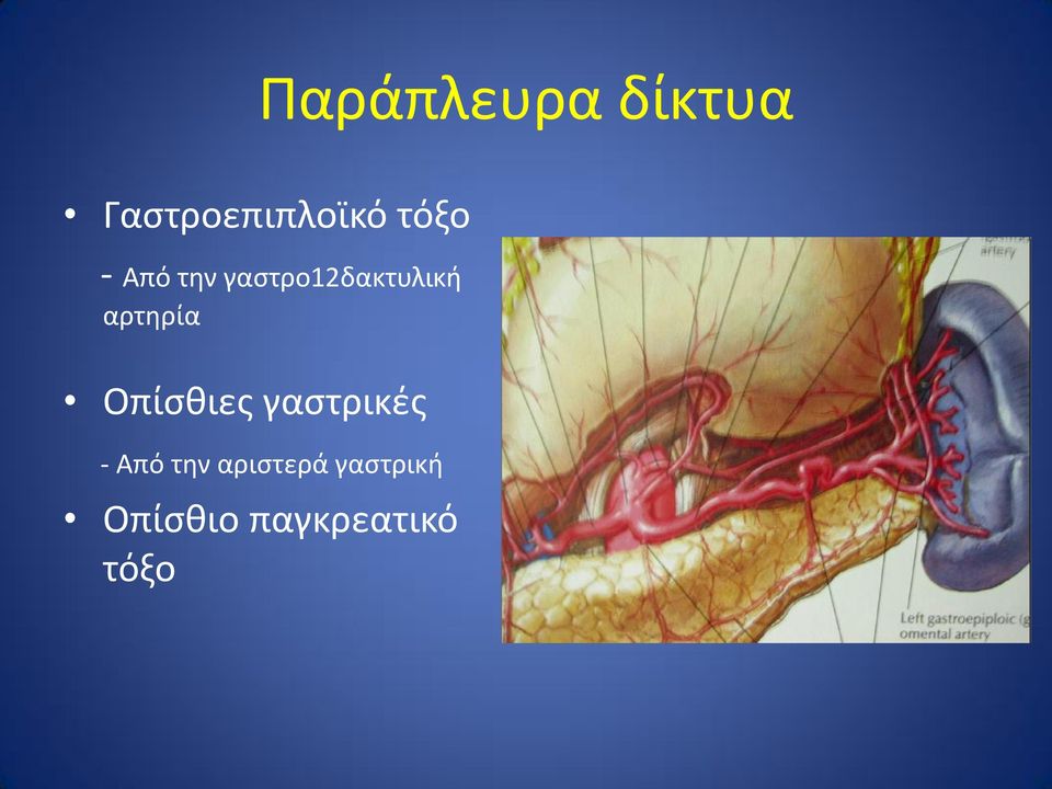 αρτηρία Οπίσθιες γαστρικές - Από την