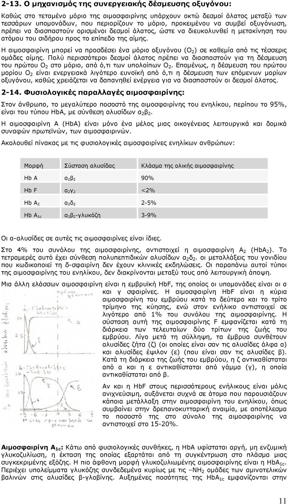 Η αιµοσφαιρίνη µπορεί να προσδέσει ένα µόριο οξυγόνου (Ο 2 ) σε καθεµία από τις τέσσερις οµάδες αίµης.