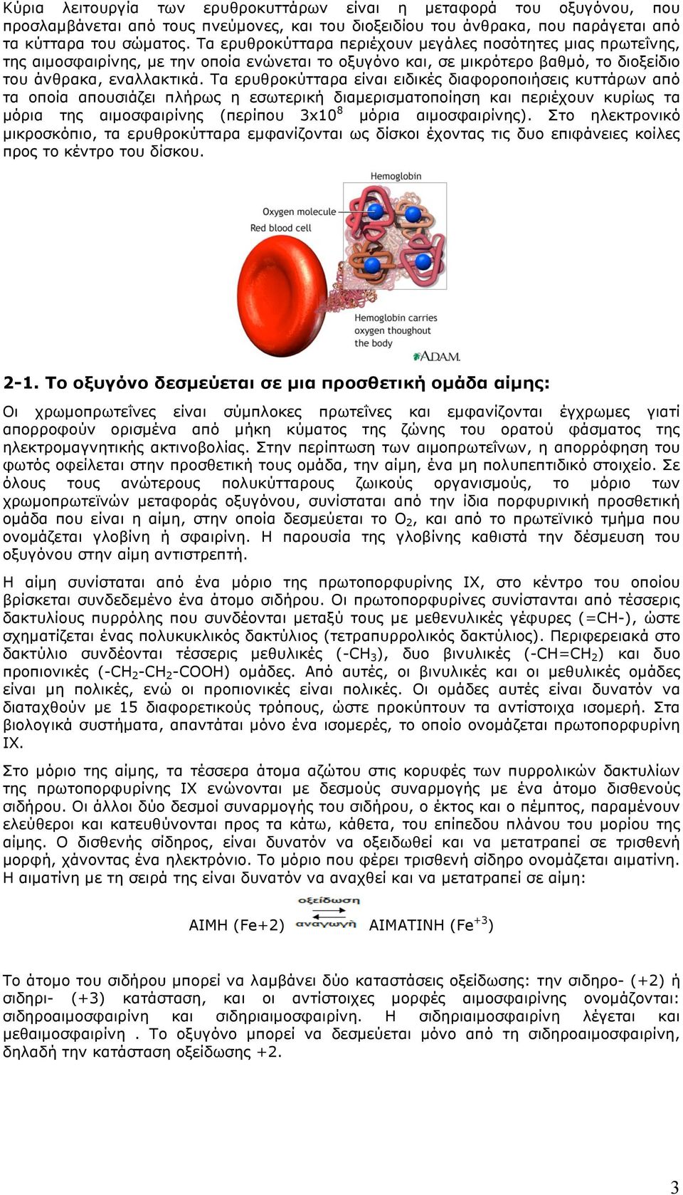 Τα ερυθροκύτταρα είναι ειδικές διαφοροποιήσεις κυττάρων από τα οποία απουσιάζει πλήρως η εσωτερική διαµερισµατοποίηση και περιέχουν κυρίως τα µόρια της αιµοσφαιρίνης (περίπου 3x10 8 µόρια