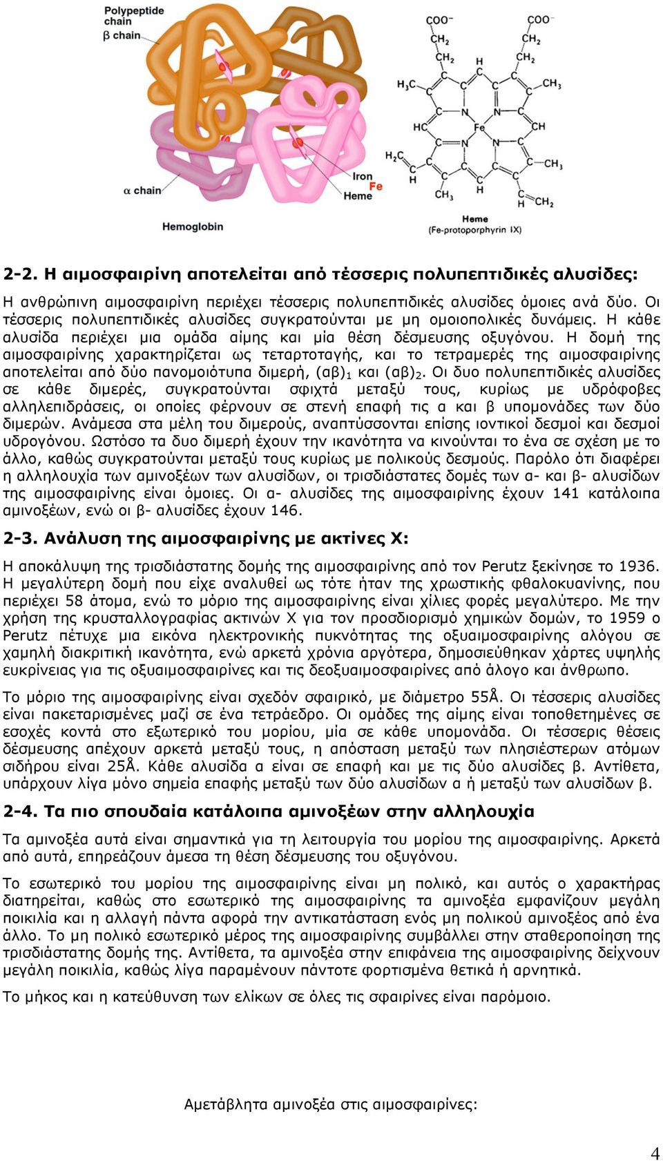 Η δοµή της αιµοσφαιρίνης χαρακτηρίζεται ως τεταρτοταγής, και το τετραµερές της αιµοσφαιρίνης αποτελείται από δύο πανοµοιότυπα διµερή, (αβ) 1 και (αβ) 2.