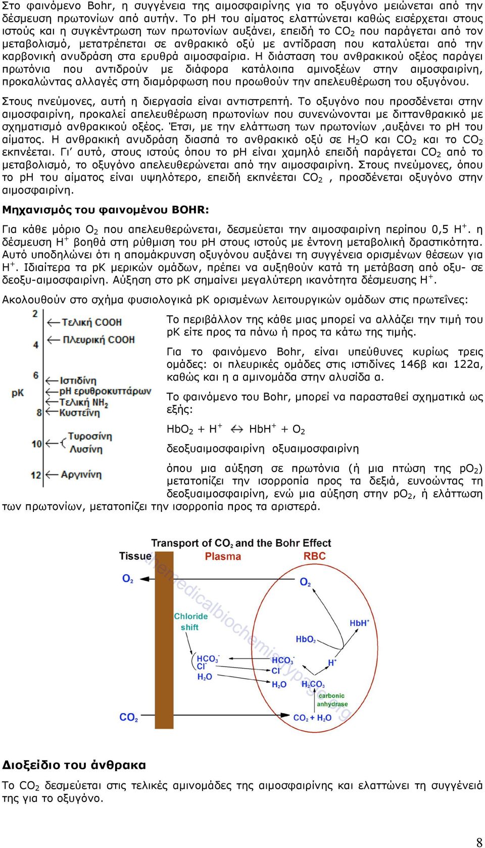 καταλύεται από την καρβονική ανυδράση στα ερυθρά αιµοσφαίρια.