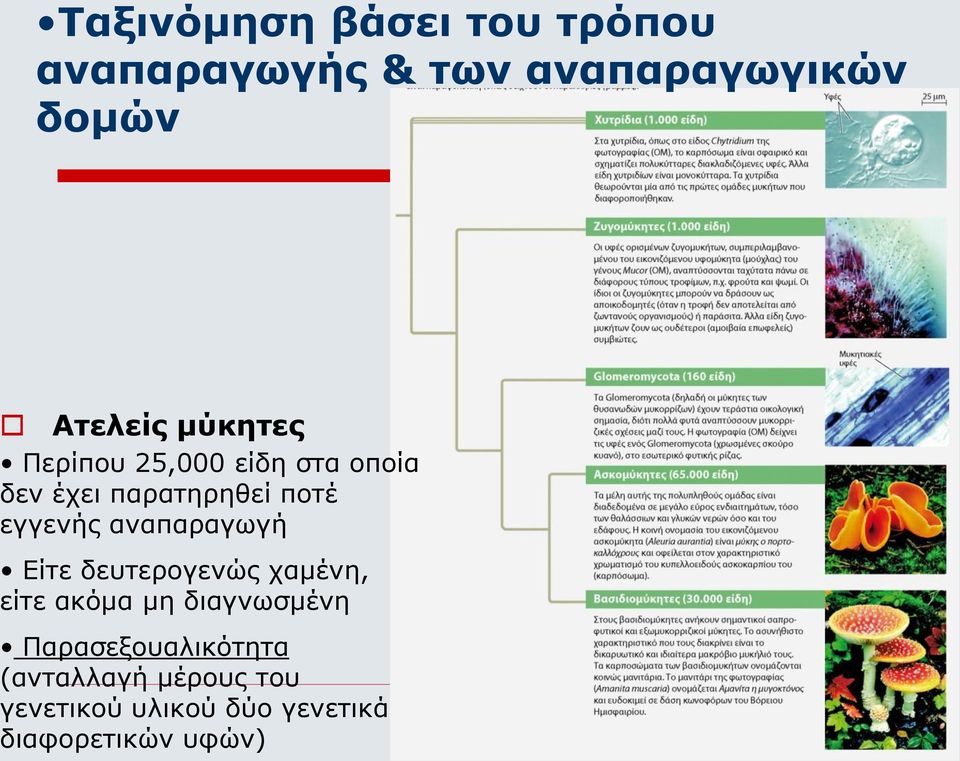 αναπαραγωγή Είτε δευτερογενώς χαμένη, είτε ακόμα μη διαγνωσμένη