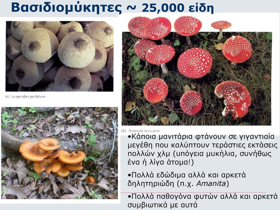 συνήθως ένα ή λίγα άτομα!