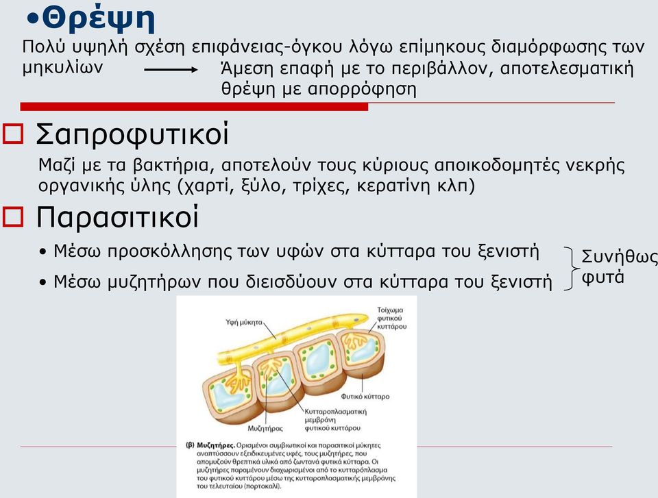 κύριους αποικοδομητές νεκρής οργανικής ύλης (χαρτί, ξύλο, τρίχες, κερατίνη κλπ) Παρασιτικοί Μέσω
