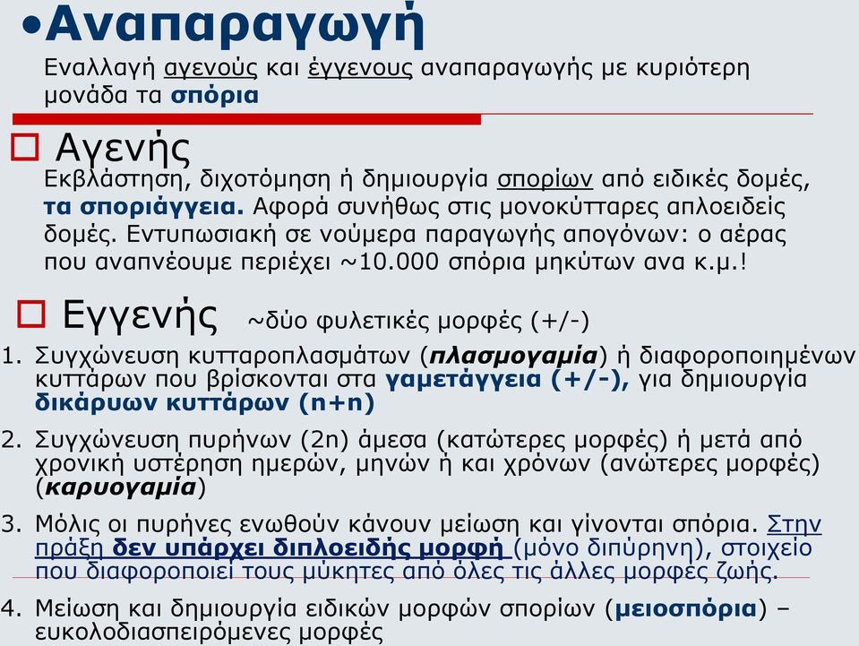 Συγχώνευση κυτταροπλασμάτων (πλασμογαμία) ή διαφοροποιημένων κυττάρων που βρίσκονται στα γαμετάγγεια (+/-), για δημιουργία δικάρυων κυττάρων (n+n) 2.
