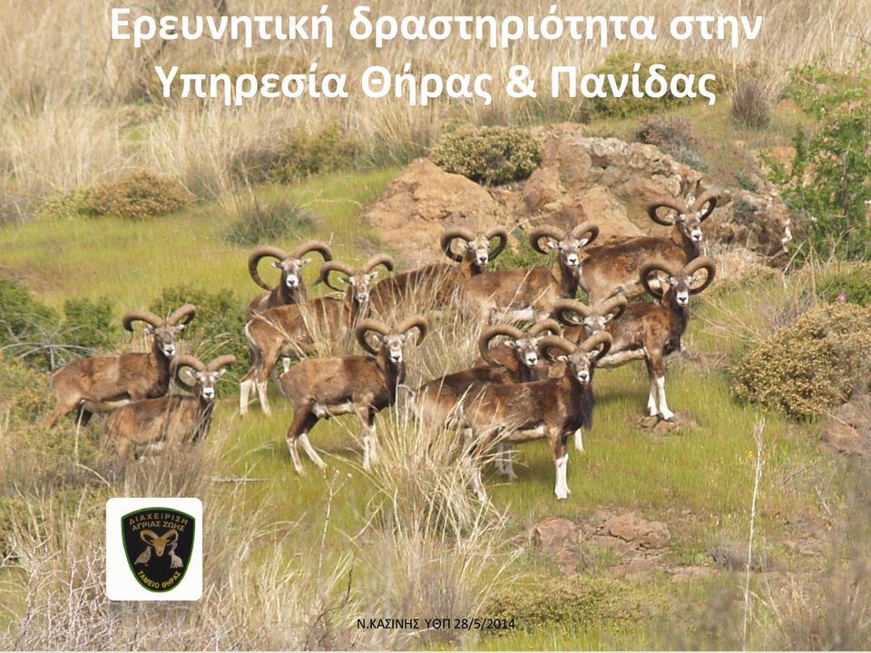 στην Υπηρεσία