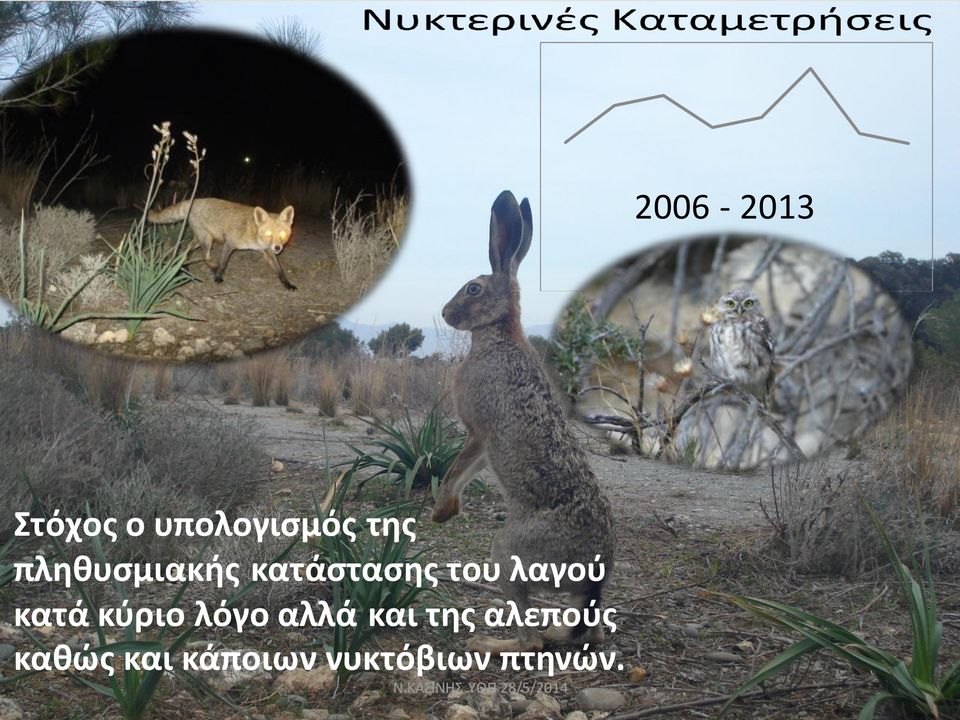 κατά κύριο λόγο αλλά και της