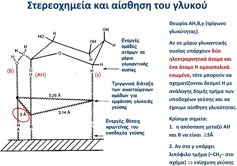 γλυκαντικής ουσίας υπάρχουν δύο ηλεκτραρνητικά άτομα και ένα άτομο Η ομοιοπολικά ενωμένο, τότε μπορούν να σχηματίζονται δεσμοί Η με ανάλογης δομής