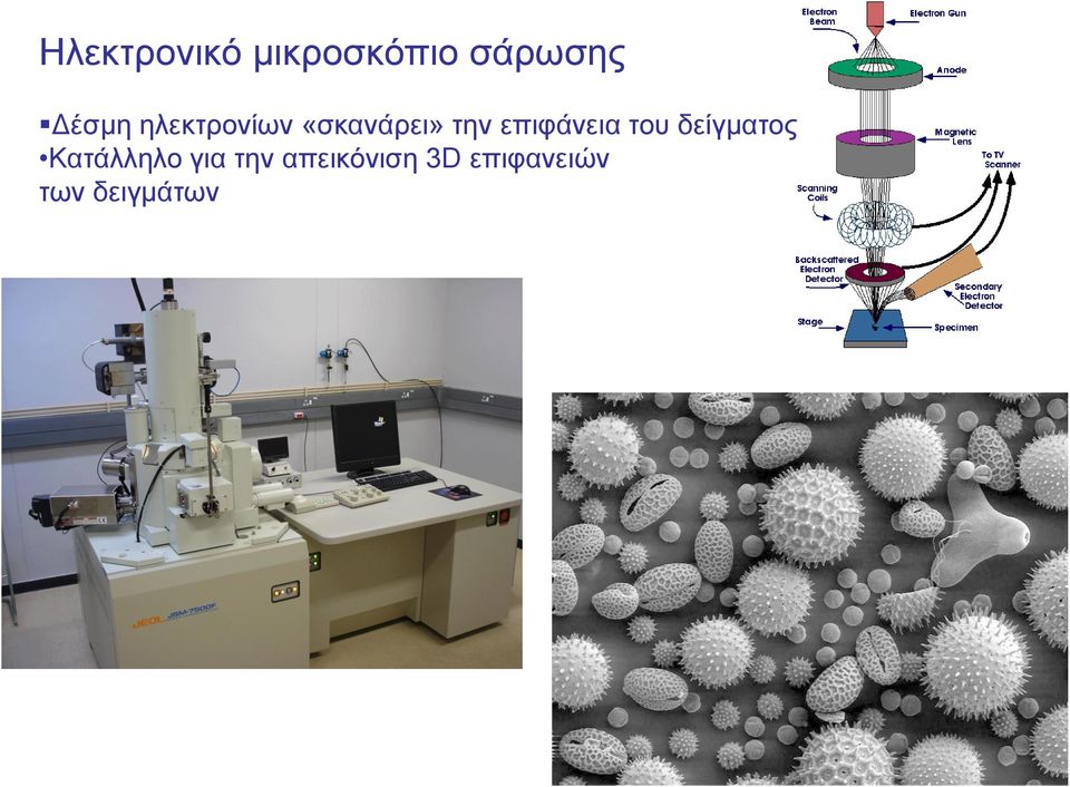 επιφάνεια του δείγματος Κατάλληλο