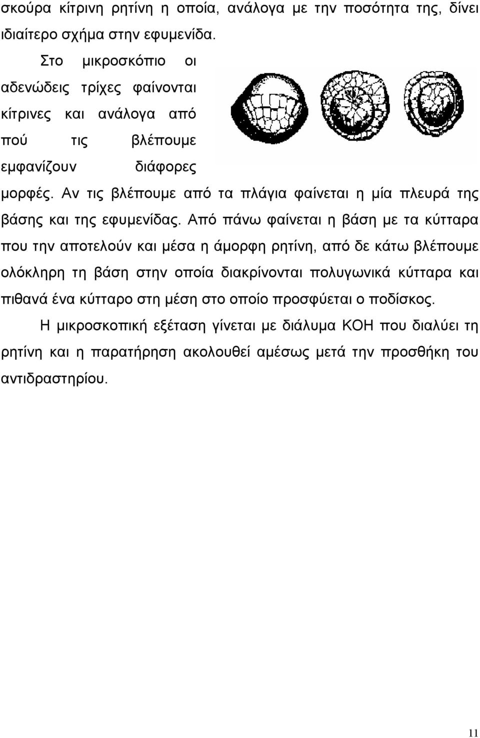 Αν τις βλέπουμε από τα πλάγια φαίνεται η μία πλευρά της βάσης και της εφυμενίδας.
