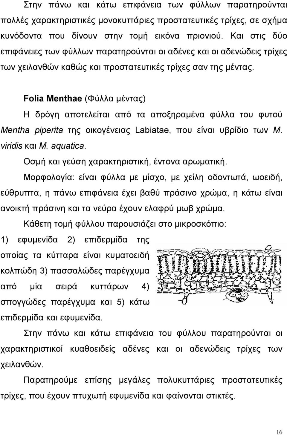 Folia Menthae (Φύλλα μέντας) Η δρόγη αποτελείται από τα αποξηραμένα φύλλα του φυτού Mentha piperita της οικογένειας Labiatae, που είναι υβρίδιο των M. viridis και M. aquatica.