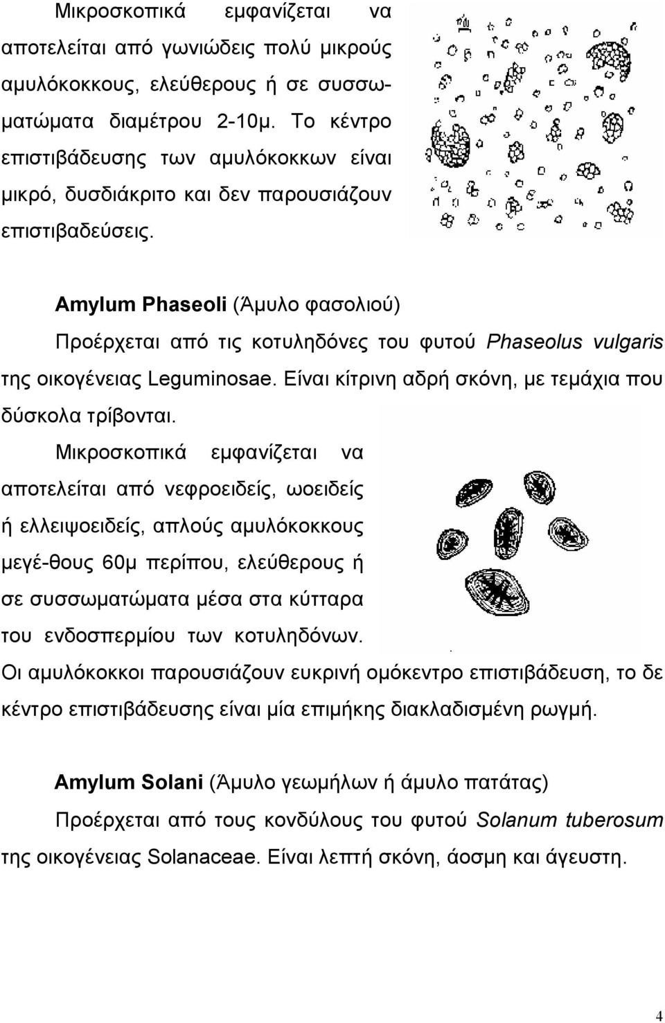 Amylum Phaseoli (Άμυλο φασολιού) Προέρχεται από τις κοτυληδόνες του φυτού Phaseolus vulgaris της οικογένειας Leguminosae. Είναι κίτρινη αδρή σκόνη, με τεμάχια που δύσκολα τρίβονται.