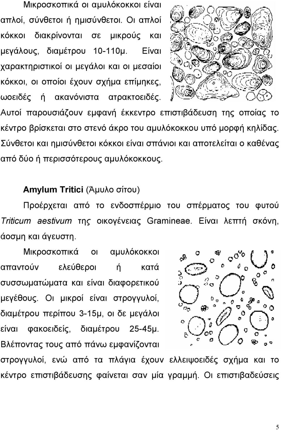 Αυτοί παρουσιάζουν εμφανή έκκεντρο επιστιβάδευση της οποίας το κέντρο βρίσκεται στο στενό άκρο του αμυλόκοκκου υπό μορφή κηλίδας.