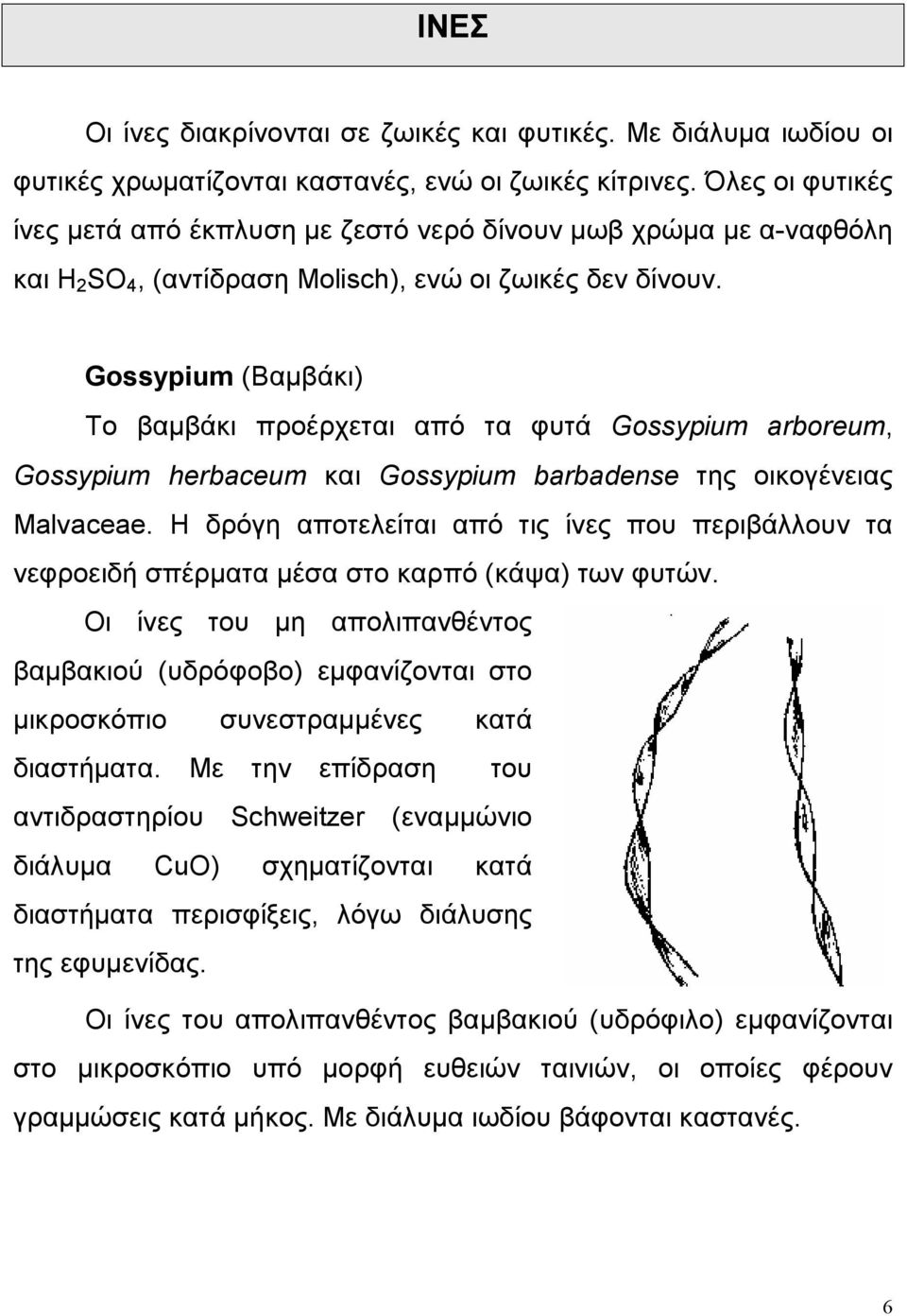 Gossypium (Βαμβάκι) Το βαμβάκι προέρχεται από τα φυτά Gossypium arboreum, Gossypium herbaceum και Gossypium barbadense της οικογένειας Malvaceae.