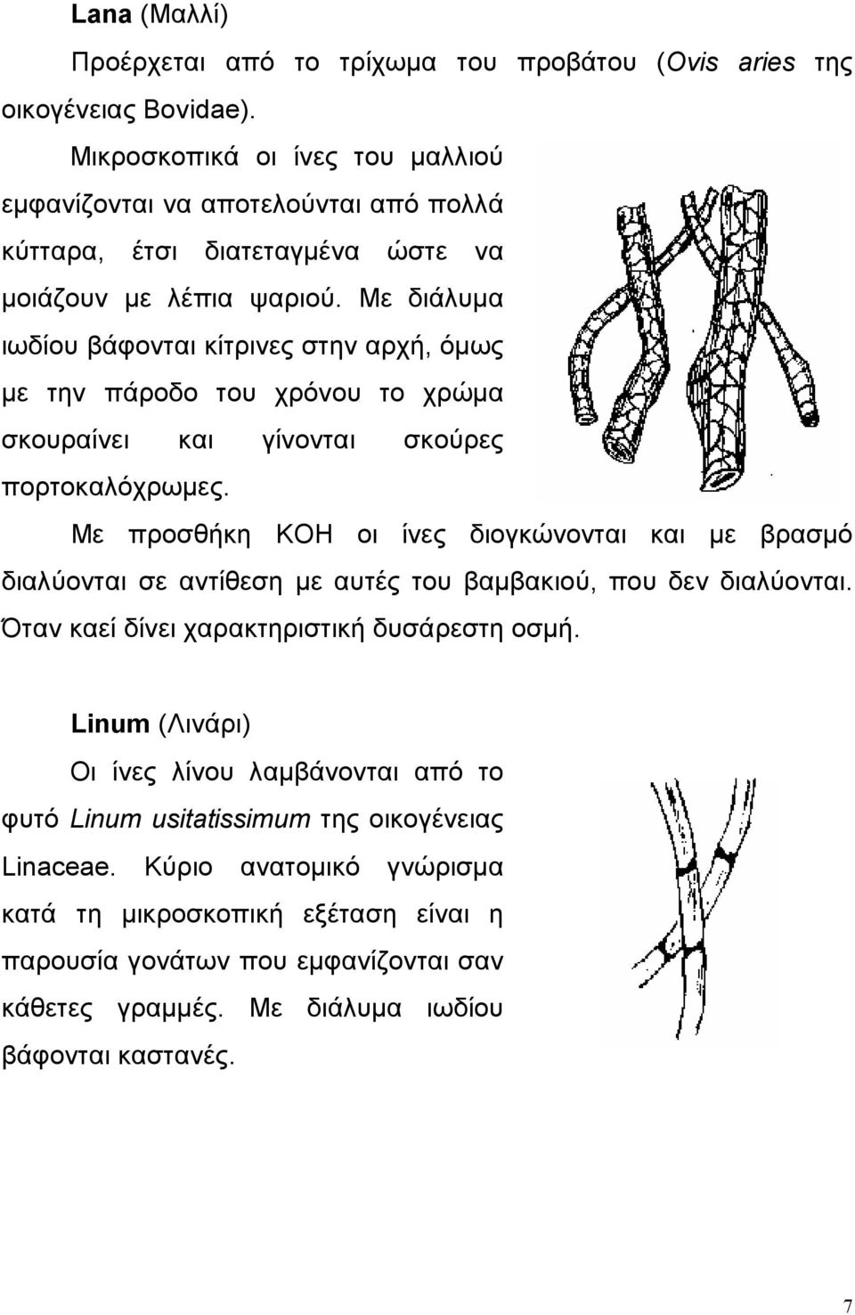 Με διάλυμα ιωδίου βάφονται κίτρινες στην αρχή, όμως με την πάροδο του χρόνου το χρώμα σκουραίνει και γίνονται σκούρες πορτοκαλόχρωμες.