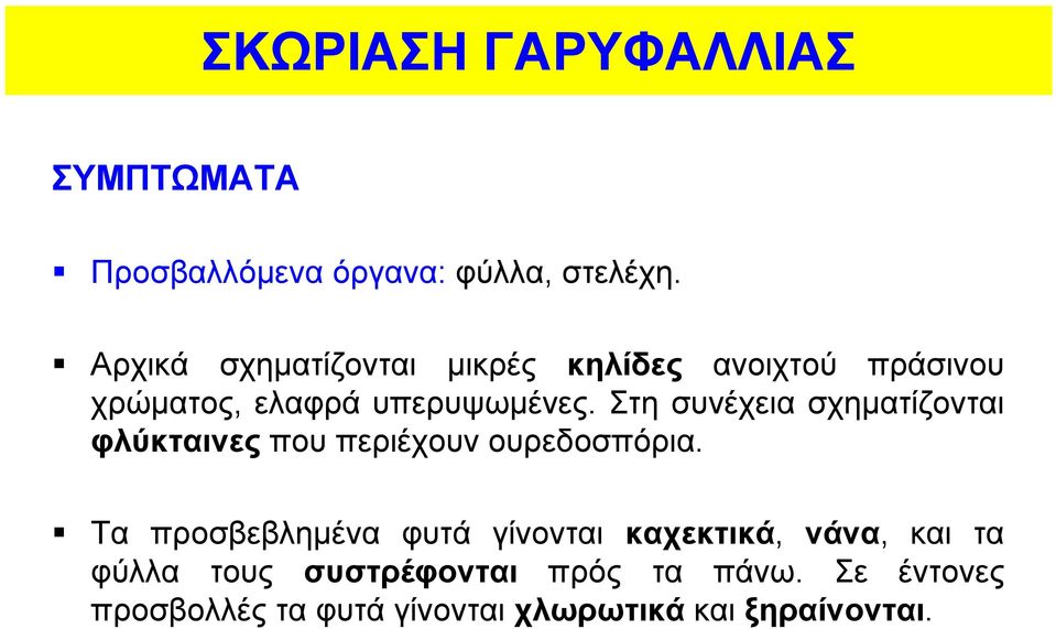 Στη συνέχεια σχηματίζονται φλύκταινες που περιέχουν ουρεδοσπόρια.