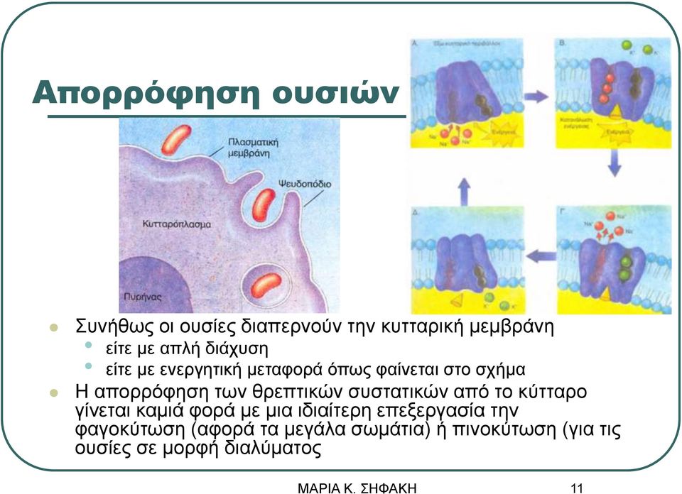 θρεπτικών συστατικών από το κύτταρο γίνεται καμιά φορά με μια ιδιαίτερη επεξεργασία