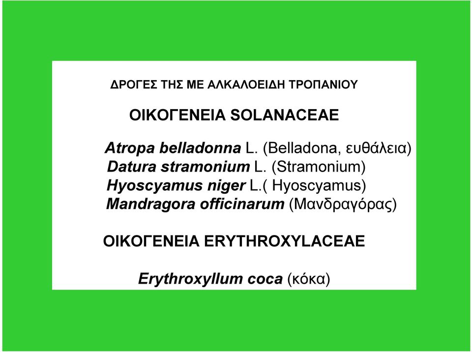 (Stramonium) yoscyamus niger L.