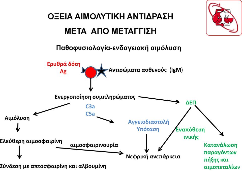 συμπληρώματος C3a C5a αιμοσφαιρινουρία Σύνδεση με απτοσφαιρίνη και αλβουμίνη