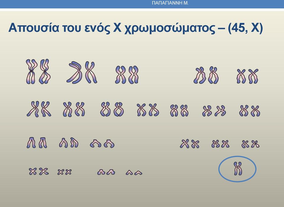 ενός Χ