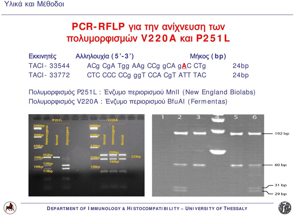 24bp TACI- 33772 CTC CCC CCg ggt CCA CgT ATT TAC 24bp Πολυμορφισμός P251L : Ένζυμο