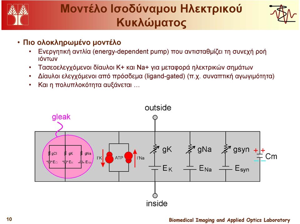 Τασεοελεγχόμενοι δίαυλοι K+ και Νa+ για μεταφορά ηλεκτρικών σημάτων Δίαυλοι