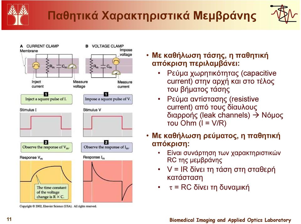 δίαυλους διαρροής (leak channels) Νόμος του Ohm (I = V/R) Με καθήλωση ρεύματος, η παθητική απόκριση: Είναι