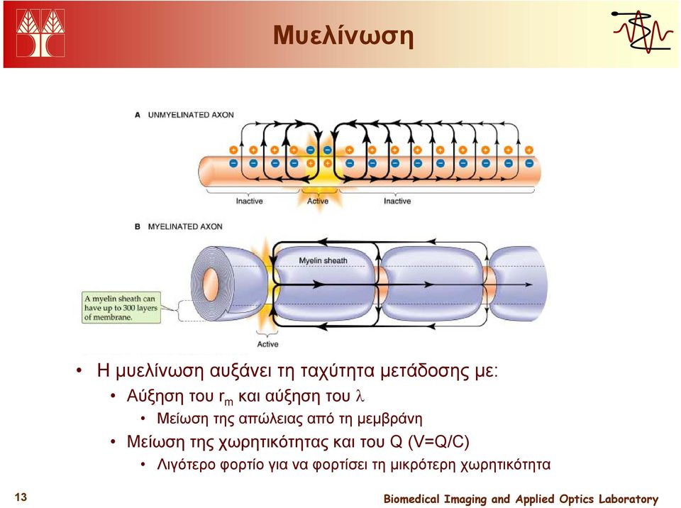 τη μεμβράνη Μείωση της χωρητικότητας και του Q (V=Q/C)